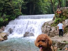 -西岭雪山大飞水景区