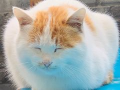 -何适山庄 ·可团建(水长城P2停车场店)