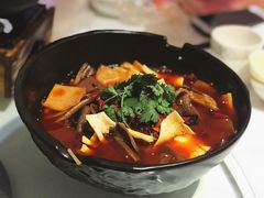 红袍毛血旺-国际青年会议酒店-苏莱斯餐厅