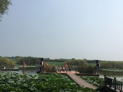 -洪湖生态旅游区