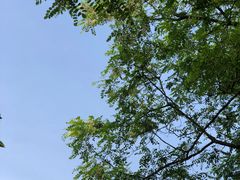 -东海大峡谷