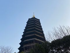 -红梅公园