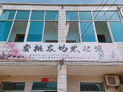 -老袁家蜜桃农场·阳山水蜜桃