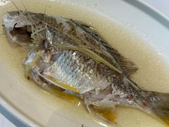 -花城苑广府菜(侨鑫店)