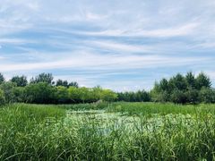 -东郊湿地公园