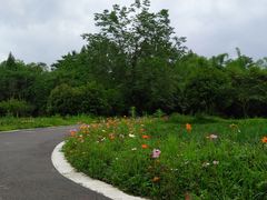 -桤木河湿地公园