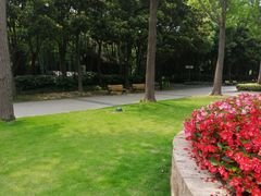 -苏州河梦清园环保主题公园