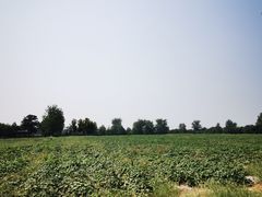 -汉长安城未央宫国家考古遗址公园