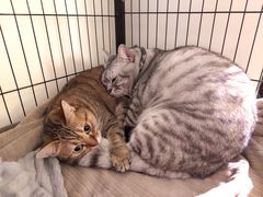 -H立方实景剧情密室(天河旗舰店)