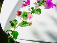 -收获咖啡HARVEST RESERVE(苍山店)