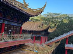 -东莞市大岭山森林公园