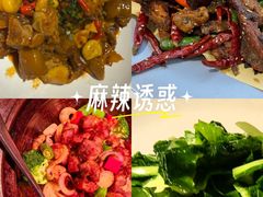 -院里寻菜·精致庭院菜(观沙岭店)