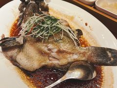 清蒸虎斑鱼-紫阳海鲜楼·传承闽味(长乐路总店)