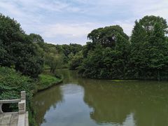 -八大山人梅湖景区