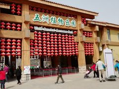 景点-南宫五洲植物乐园