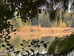 -东湖落雁景区