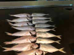 -南美元生态大酒店(海珠店)