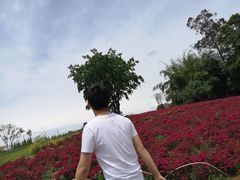 -保利石象湖景区