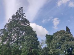 -贵州省植物园