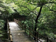 -溪口-滕头旅游景区