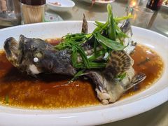 清蒸石斑鱼-潘先生海鲜城(神州半岛店)
