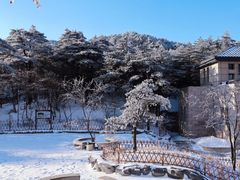 -黄山风景区