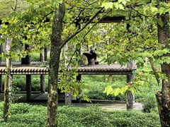 -中国大熊猫保护研究中心雅安碧峰峡基地