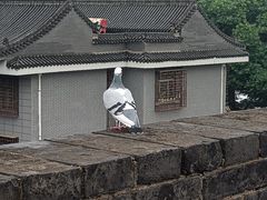 -西安城墙·碑林历史文化景区