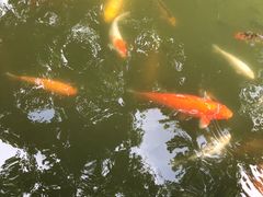 -珠海圆明新园