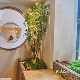 京西新晋小清新咖啡学院‖快来打卡吧[嘿哈]