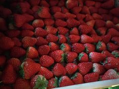 -西郊国际农产品交易中心