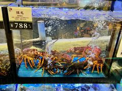 -猪肉婆私房菜(容桂总店)
