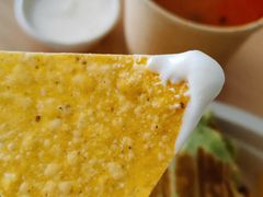 -油梨树 AVOCADO TREE(亮马桥店)