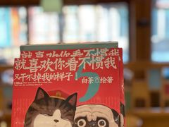 -猫的天空之城概念书店(丽江古城饮玉巷店)