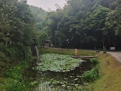 -常德桃花源景区