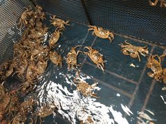 -秋月舫(阳澄湖湖滨中路店)