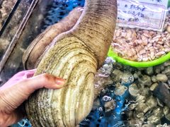 -金海湾海鲜排档(朱家尖店)