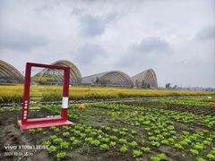 -中国天府农业博览园