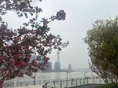 -北外滩滨江绿地