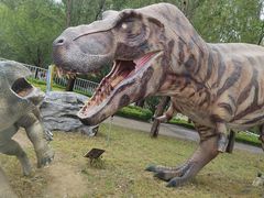 -西部长青自然儿童乐园