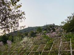 -小南山公园