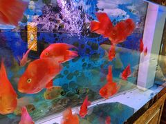 -鸿泰洋美食水会(东门中店)