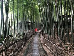 -宝岩生态观光园