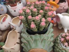 -三圣花乡旅游区