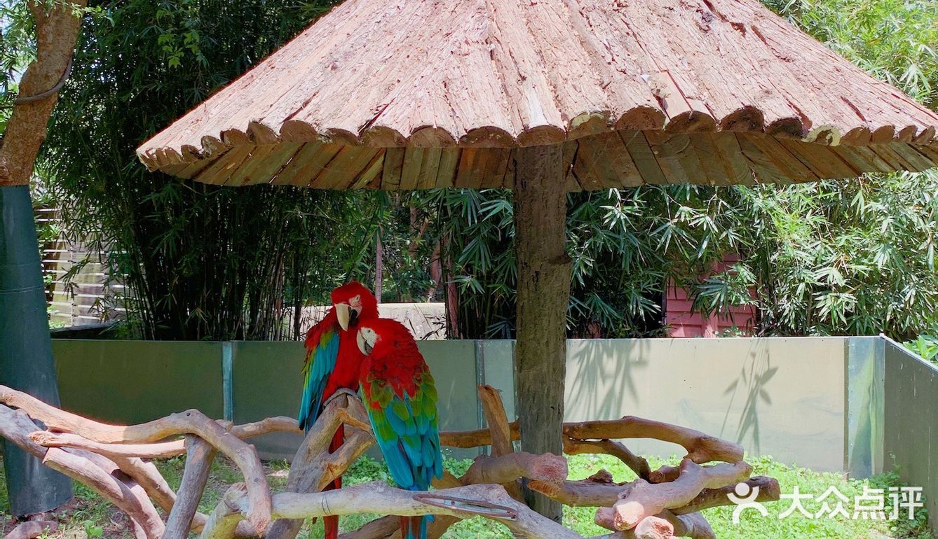 上野動物園 - 吃喝玩樂精選