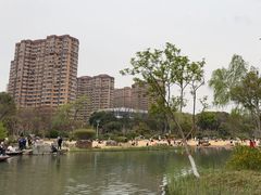 -青枫公园