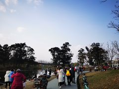 -两河城市森林公园