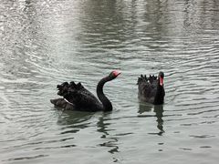 -武汉动物园
