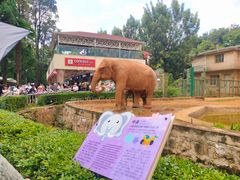 -昆明动物园