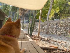 -MOJ coffee(瓯海泽雅水碓坑店)